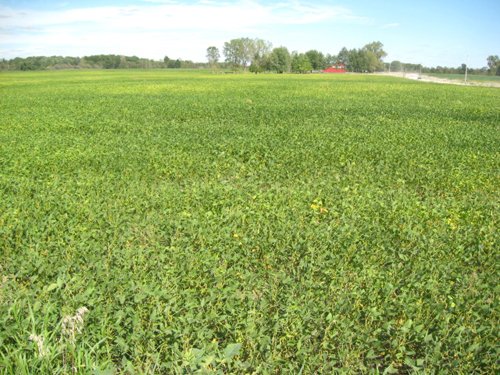 Property photo 58 - 110+/- Acres offered in 4 Tillable Tracts